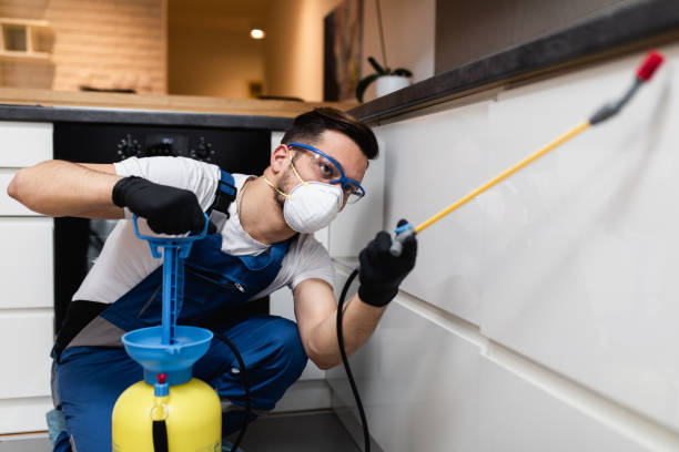 Best Rat Extermination Near Me  in New Brighton, MN