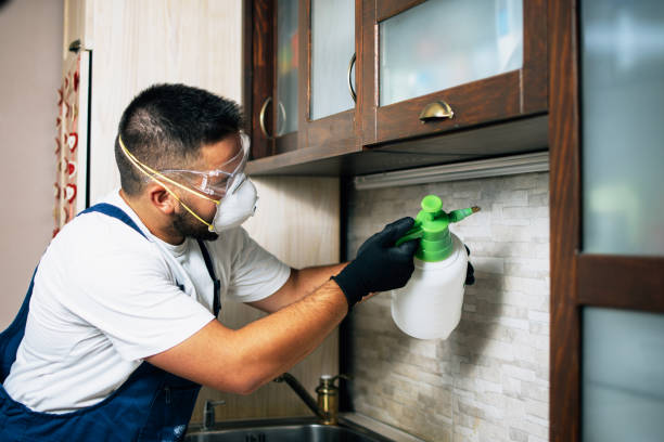  New Brighton, MN Pest Control Pros