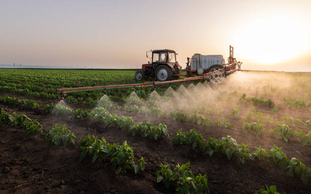 Best Pest Inspection Near Me  in New Brighton, MN