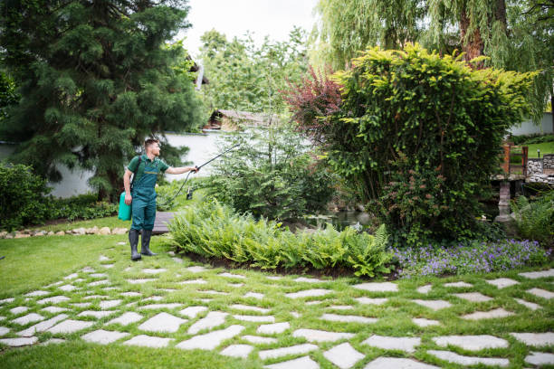 Best Ant Control Services  in New Brighton, MN