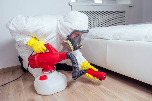 Best Bed Bug Extermination  in New Brighton, MN