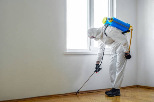 Best Local Pest Control Services  in New Brighton, MN