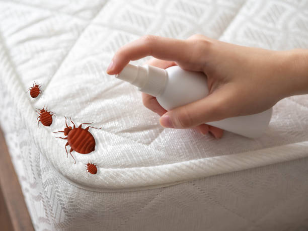 Best Pest Removal Services  in New Brighton, MN
