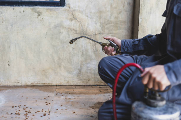 Best Pest Control Cost  in New Brighton, MN