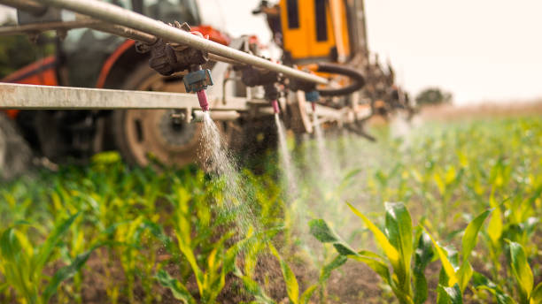 Pest Control Cost in New Brighton, MN