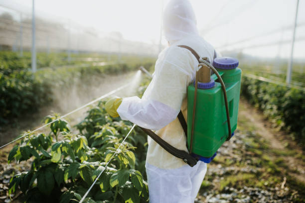 Pest Prevention Services in New Brighton, MN